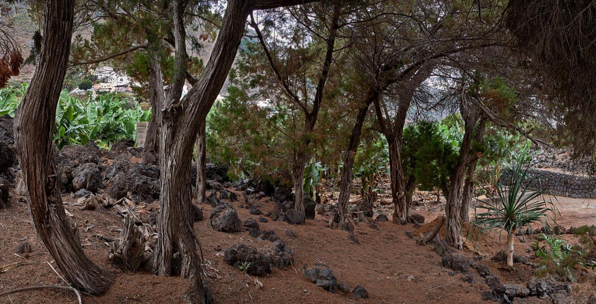 Las Sabinas Villa - El Guincho, Garachico Garachico  Ngoại thất bức ảnh